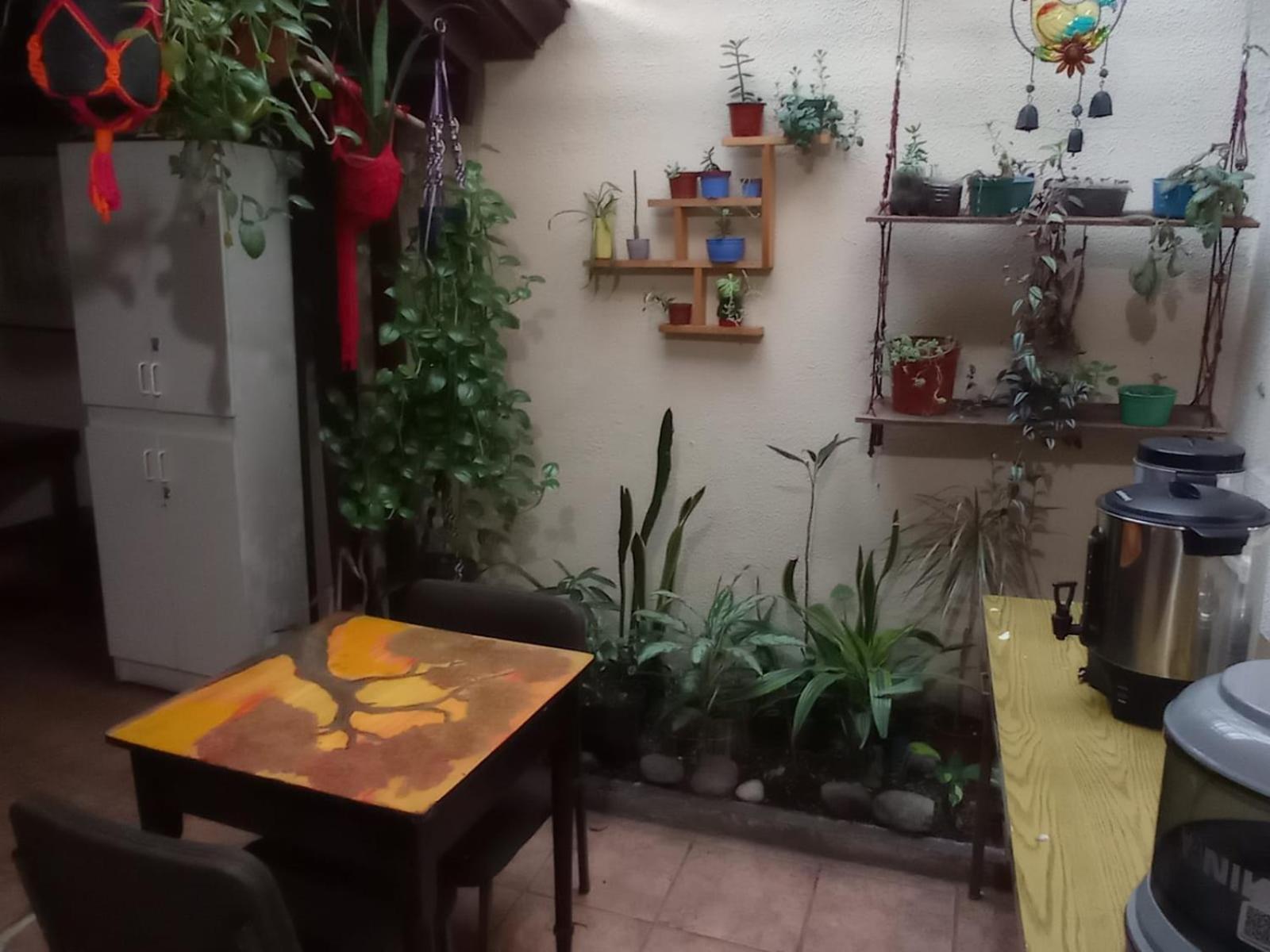 Hostel Casa Ridgway Сан-Хосе Экстерьер фото